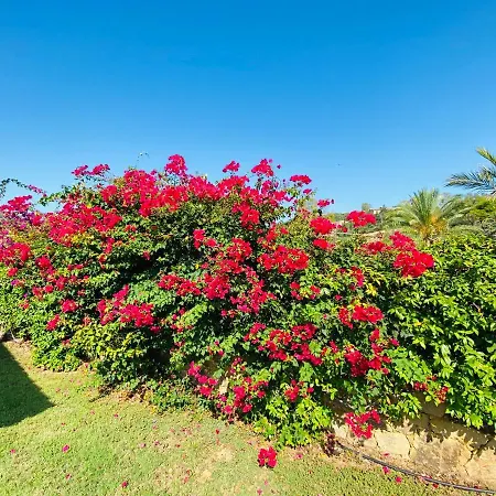 Abba Urci Parque de vacaciones Tertenìa