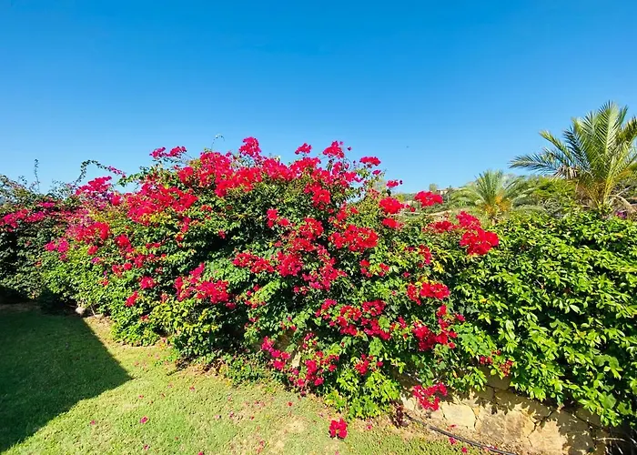 Abba Urci Aldeamento Turístico Tertenìa